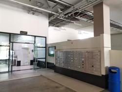 Focus One (D14), Factory #221576401